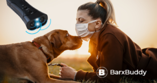 Why BarxBuddy Is The Perfect Pandemic Dog Training Device In 2021