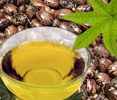 Castor-Oil-for-Hair-Growth