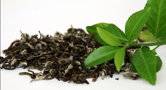 Green tea remedy for post inflamatory hyperpigmentation