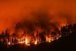 wildfire