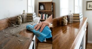 House Cleaning